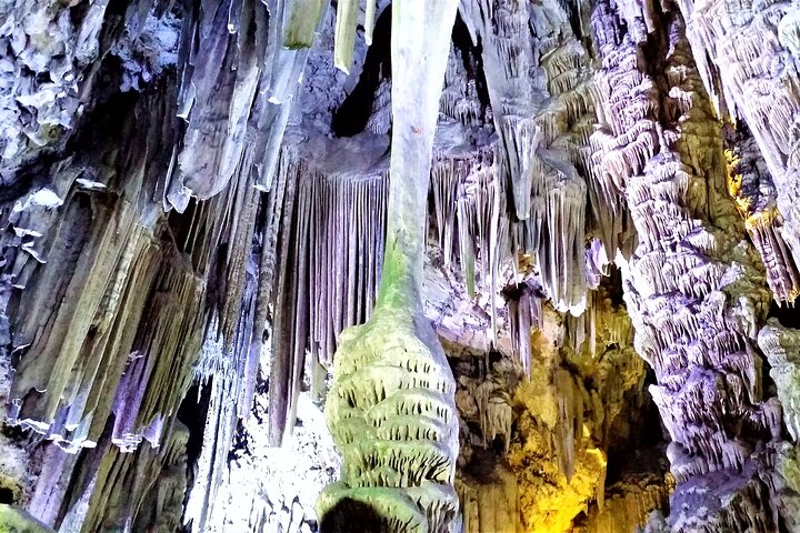 Private Tour in Gibraltar and in Marbella - Image 1