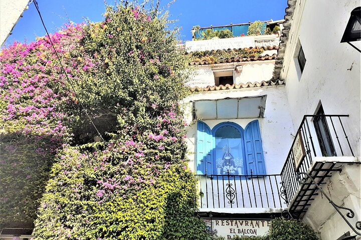 Private Tour in Gibraltar and in Marbella - Image 5