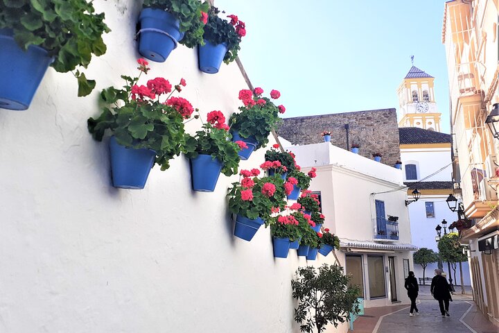 Private tour in Marbella from Costa del Sol - Image 2