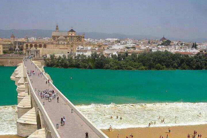 Private tours from Malaga to Cordoba and the Mezquita for up to 8 persons - Image 4