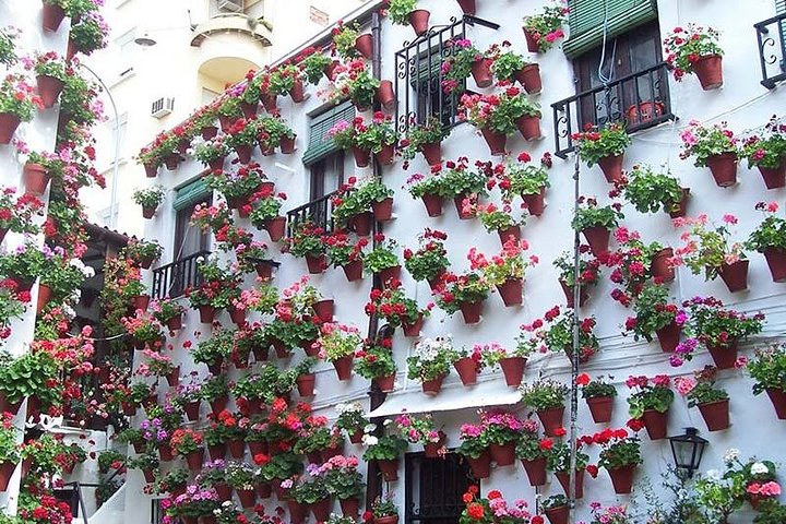 Private tours from Malaga to Cordoba and the Mezquita for up to 8 persons - Image 5