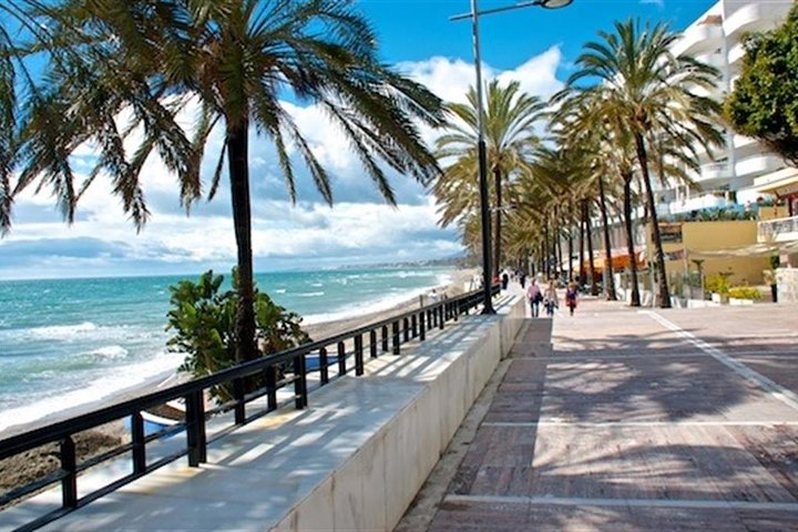 Private tours from Malaga to Marbella and Puerto Banus for up to 8 persons - Image 4
