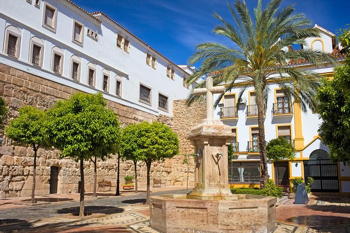 Private tours from Malaga to Marbella and Puerto Banus for up to 8 persons - Image 3
