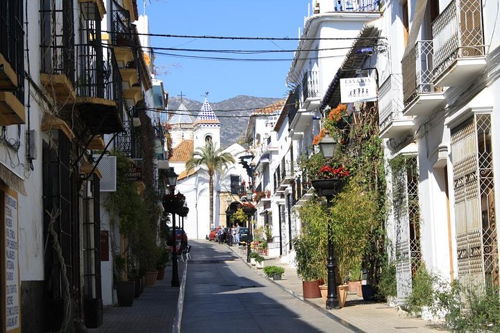 Private tours from Malaga to Marbella and Puerto Banus for up to 8 persons - Image 5