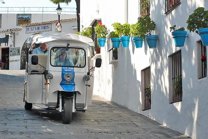 Private tours from Malaga to Mijas and and Benalmadena for up to 8 persons - Image 5