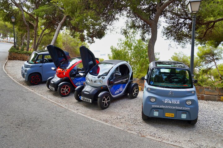 Tour Malaga Premium by Electric Car - Image 3