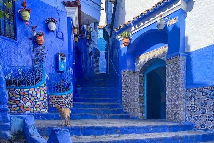 VIP Experience: "Blue City" of Chefchaouen and Tangier in one day - Image 1