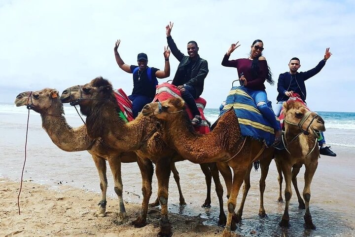 Vip Full Day Private Tangier Tour From Malaga - Image 3
