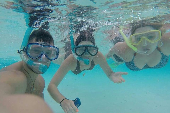 3 Point Snorkeling Safari - Image 2
