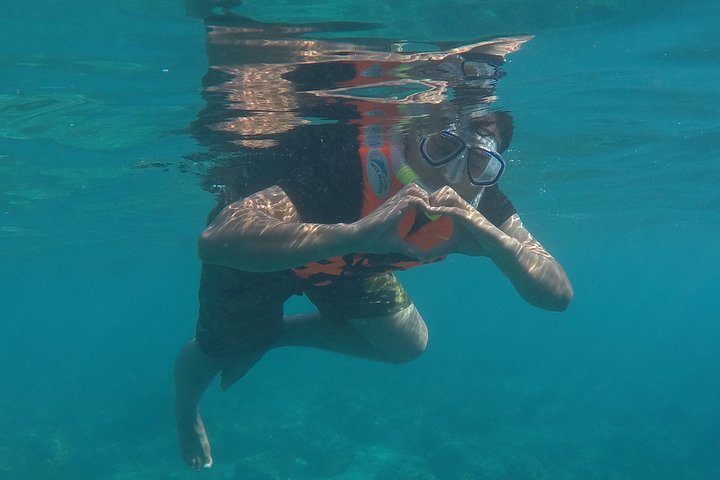 3 Point Snorkeling Safari - Image 5