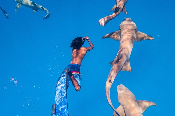 Discover Maafushi in 4 Nights 5 Days (All-inclusive - Tour B) - Image 3