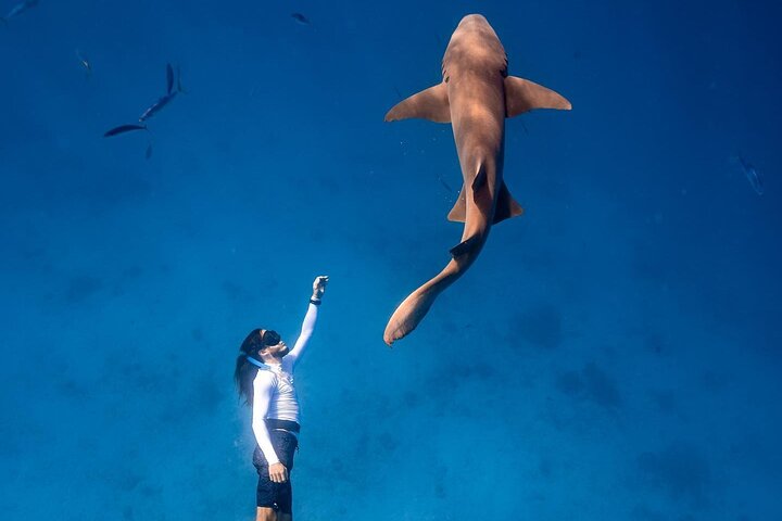 Discover Maafushi in 4 Nights 5 Days (All-inclusive - Tour B) - Image 2