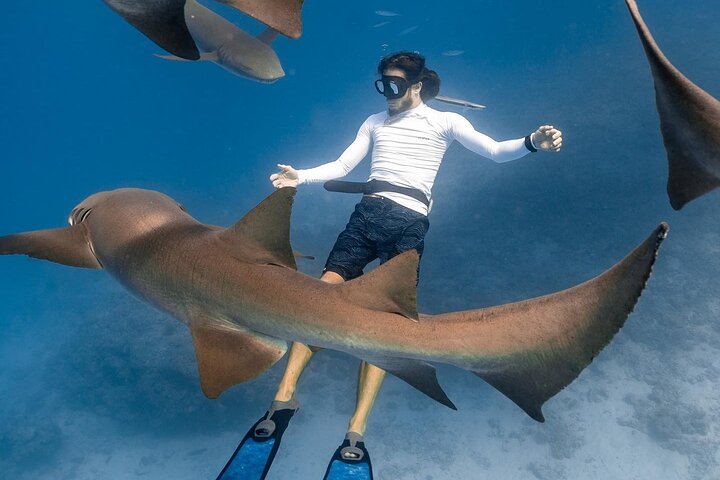 Discover Maafushi in 4 Nights 5 Days (All-inclusive - Tour B) - Image 1