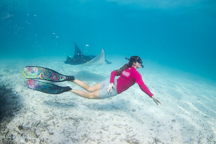 Discover South Ari Atoll - Full Day Tour from Male city - Image 3