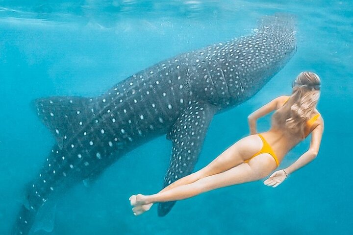Discover South Ari Atoll - Full Day Tour from Male city - Image 1