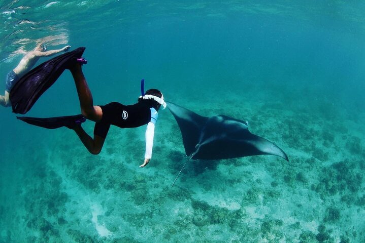 Discover South Ari Atoll - Full Day Tour from Male city - Image 4