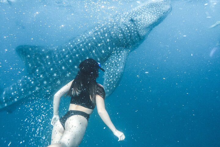 Discover South Ari atoll in 4 nights 5 days (All-inclusive) - Image 2