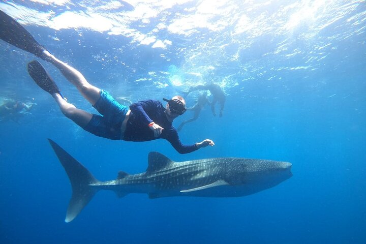 Discover South Ari atoll in 4 nights 5 days (All-inclusive) - Image 4