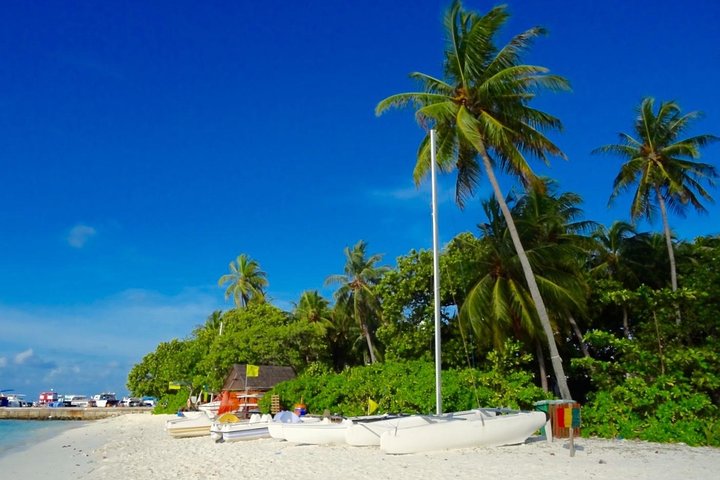 Half-Day Original Eco Tour to Villimale From Malé - Image 3