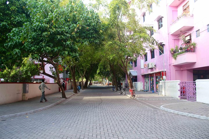 Half-Day Original Eco Tour to Villimale From Malé - Image 5