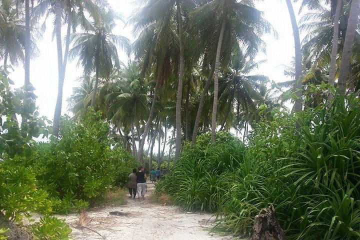 Local Island Day Trip from Hulhumale - Image 2