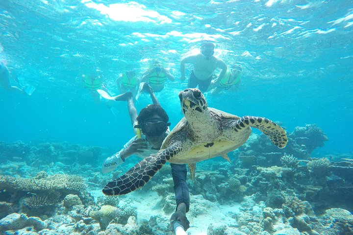 Sandbank Snorkeling and Sunset Cruise - Image 2