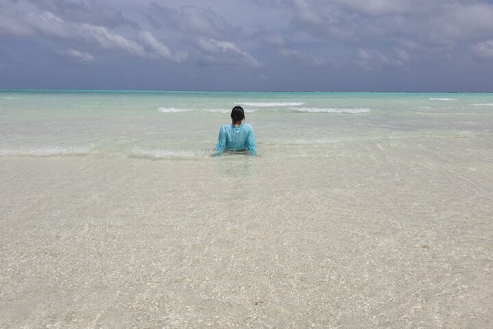 Sandbank Snorkeling and Sunset Cruise - Image 3