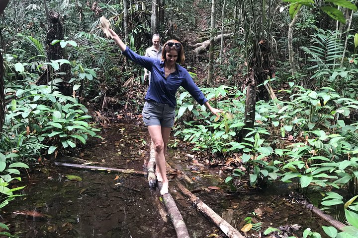 A Whole Day in the Jungle - Image 3