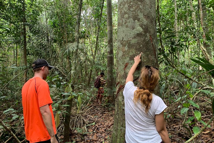 A Whole Day in the Jungle - Image 1