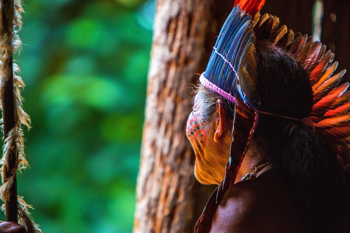 Amazon Rainforest - Private Multi Day Tour - Image 1
