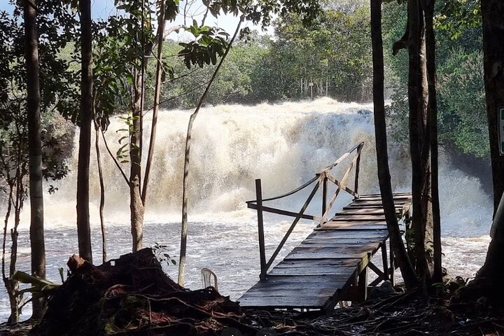 Full-Day Package Tour in Presidente Figueiredo  - Image 2