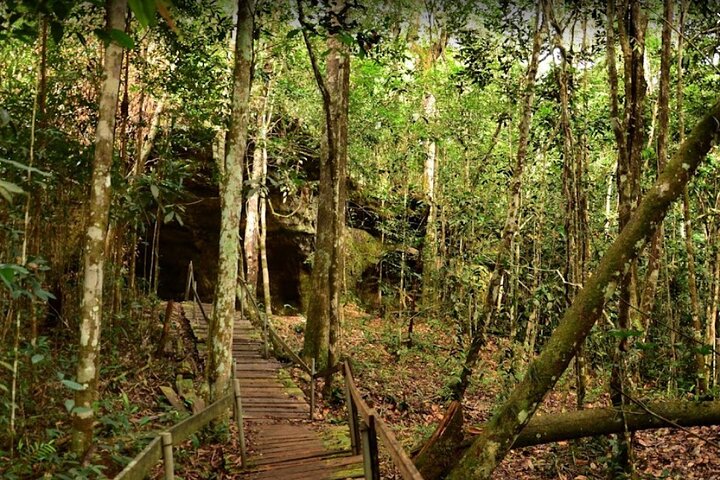 Full-Day Package Tour in Presidente Figueiredo  - Image 5