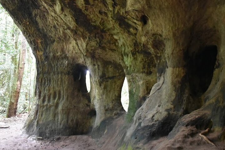 Full-Day Package Tour in Presidente Figueiredo  - Image 4
