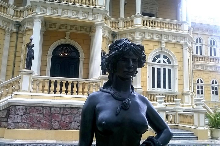 Manaus City Tour and Tour Meeting of the Waters by Speedboat - Image 1