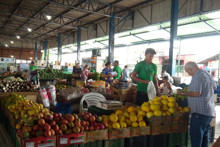 Manaus Full Day Tour - Image 5