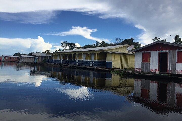 River Day Tour from Manaus - Image 3