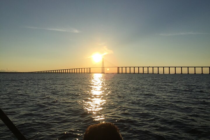 River Day Tour from Manaus - Image 2