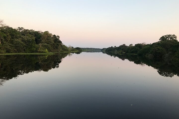 River Day Tour from Manaus - Image 1