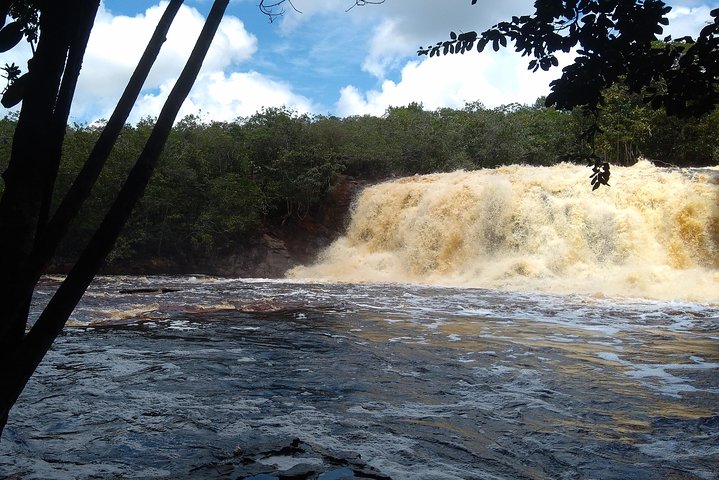 The Waterfalls of President Figueiredo - Day Tour in the Amazon - Image 4