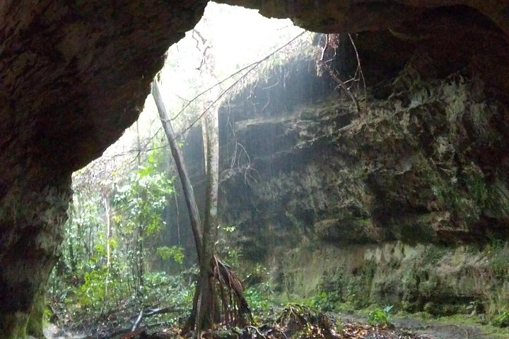 The Waterfalls of President Figueiredo - Day Tour in the Amazon - Image 5