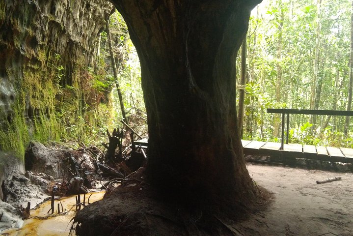 The Waterfalls of President Figueiredo - Day Tour in the Amazon - Image 3