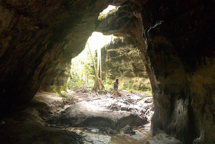 The Waterfalls of President Figueiredo - Day Tour in the Amazon - Image 2
