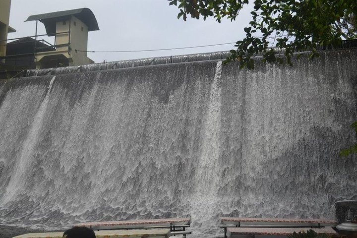 Cruise Shore Excursion of Villa Escudero with Lunch - Image 4