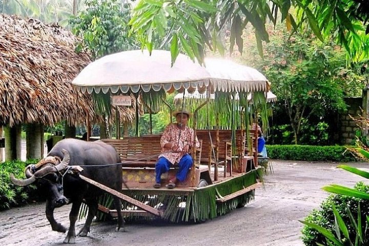 Cruise Shore Excursion of Villa Escudero with Lunch - Image 3