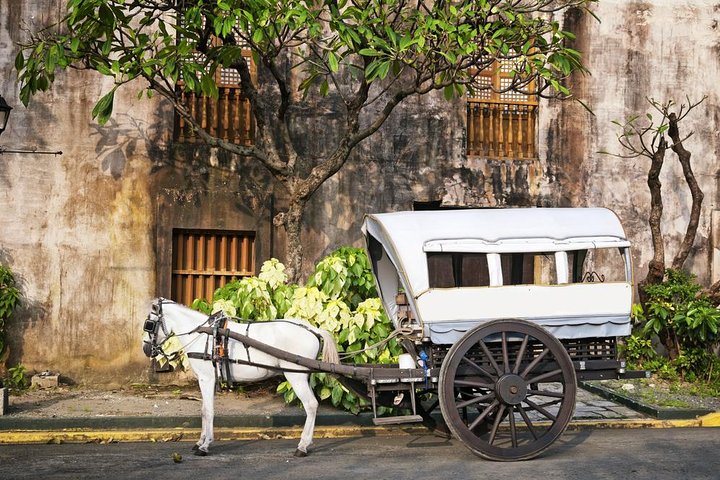 Private Half-Day Shore Excursion in Manila - Image 1