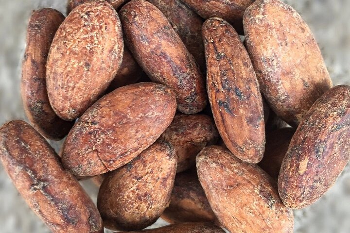From Cacao to Chocolate: Private Tour in Manta - Image 4