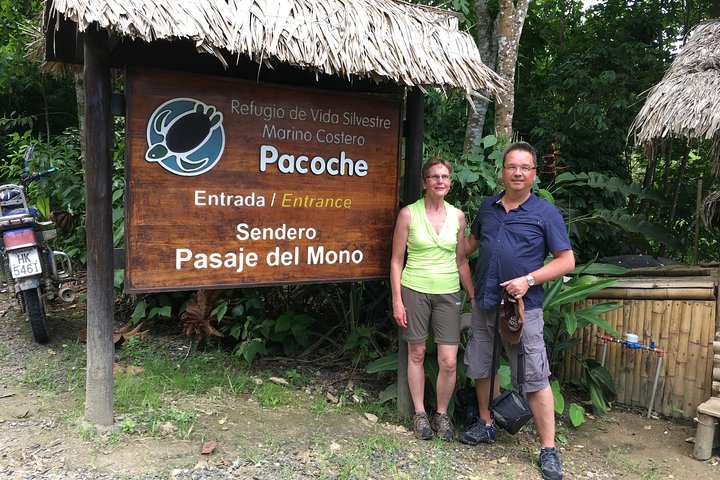 Montecristi & The Rain Forest - Image 1