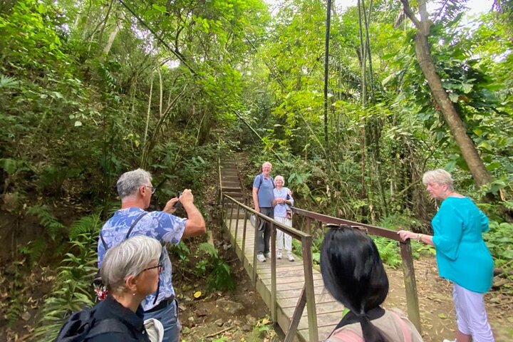 Rainforest Wildlife, Panama Hat makers, Traditional Cuisine. SHORE TOUR - Image 3