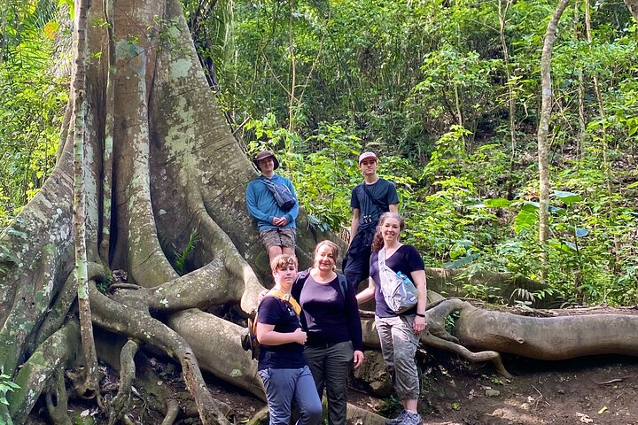 Rainforest Wildlife, Panama Hat makers, Traditional Cuisine. SHORE TOUR - Image 1