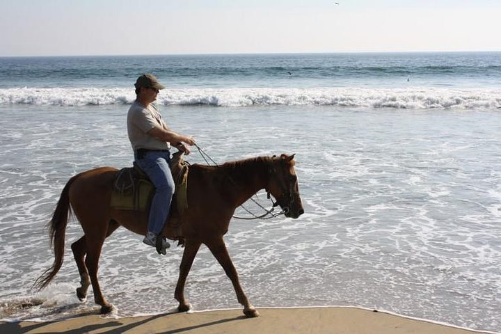 Horse Back Riding With Danitours Montain Rural Areas And Sand Beach - Image 2
